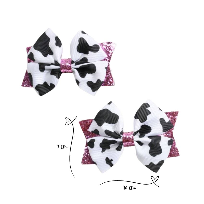 2pc Crocodile hair clips