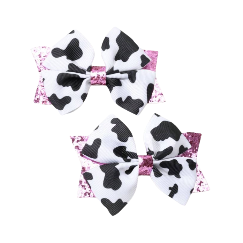 2pc Crocodile hair clips