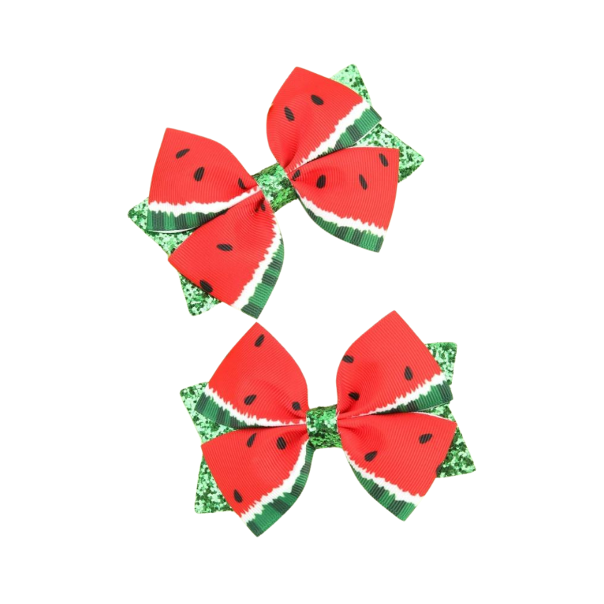 2pc Crocodile hair clips