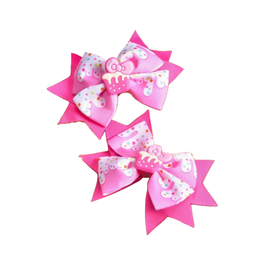 2pc Crocodile hair clips