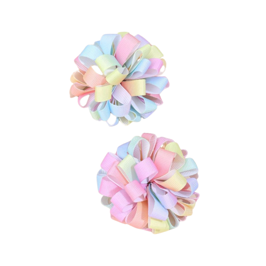 2pc Crocodile hair clips