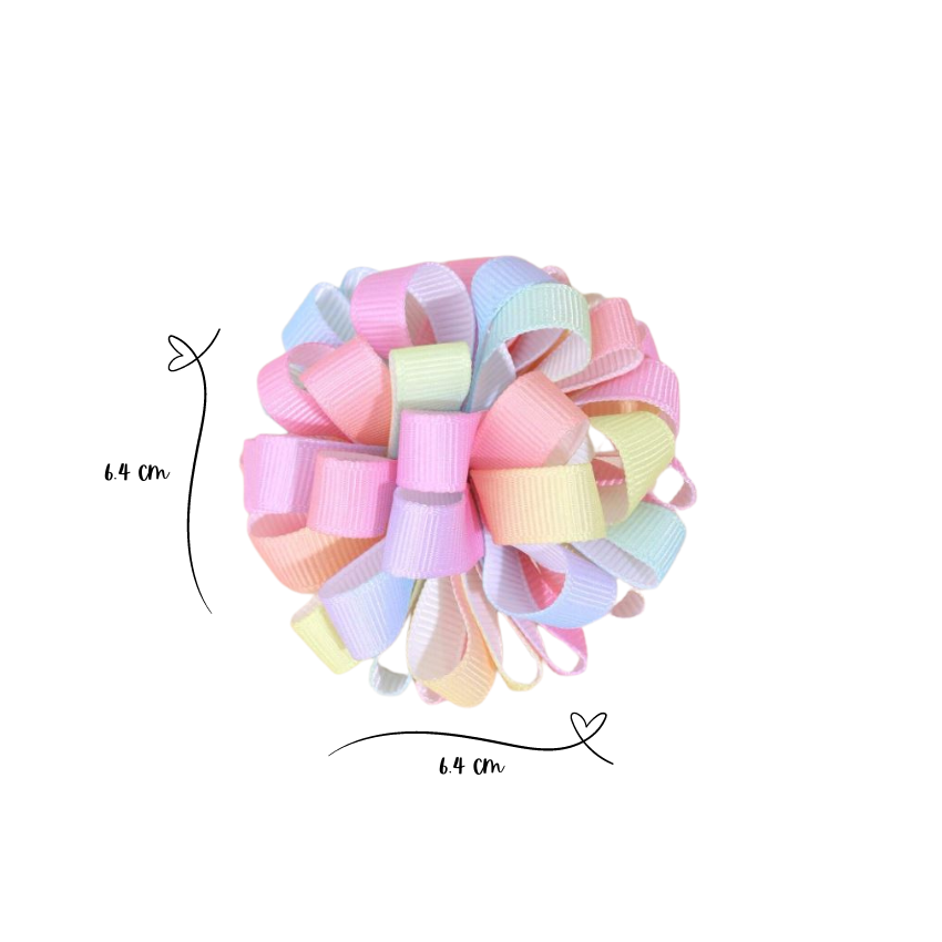 2pc Crocodile hair clips