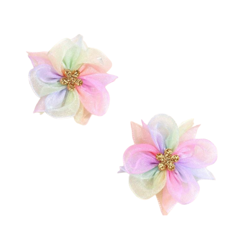 2pc Crocodile hair clips