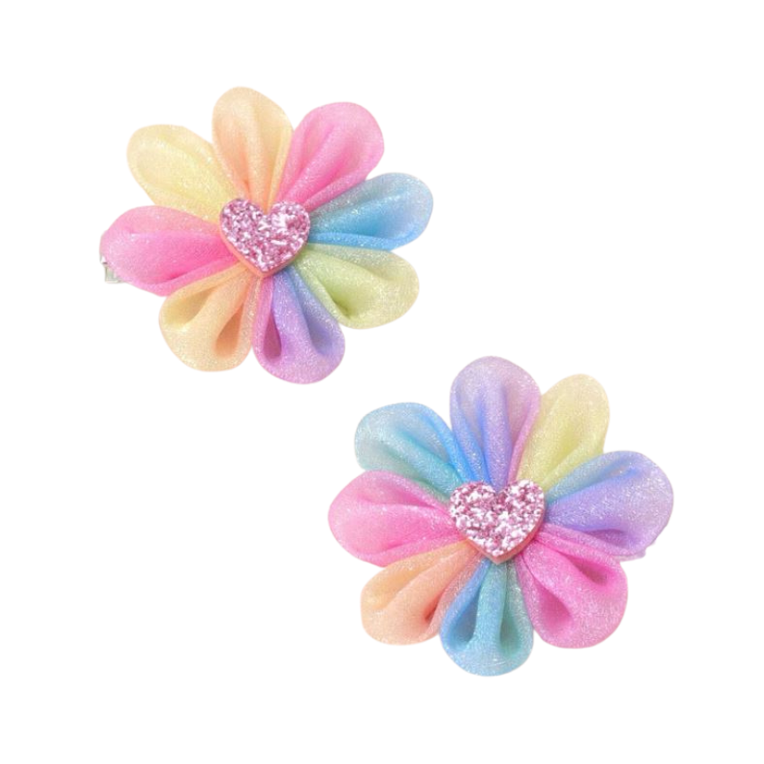 2pc Crocodile hair clips