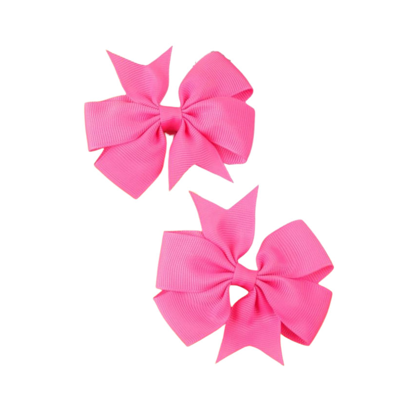 2pc Crocodile hair clips