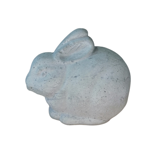 Cement Bunny
