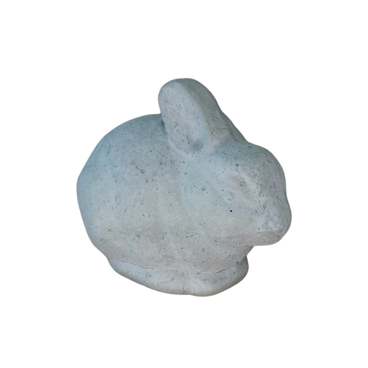 Cement Bunny